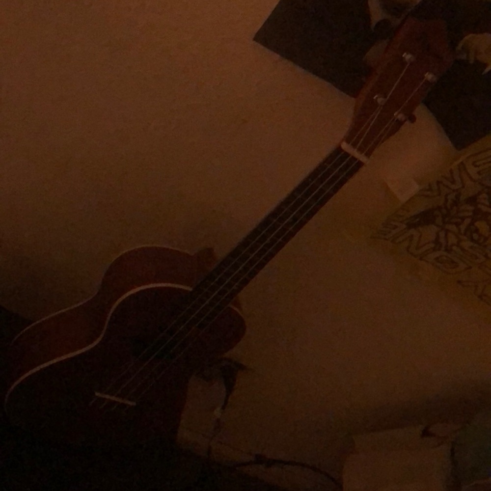 Concert ukelele - Picture 3 of 4